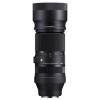 Sigma 100-400mm f/5-6.3 DG DN OS C Panasonic L-Mount Fit